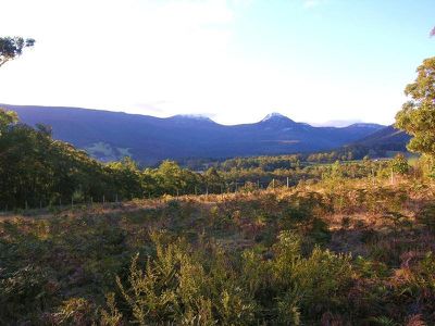 144A Mistly Hills Road, Mountain River