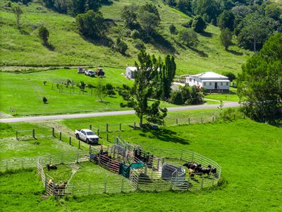154  Tuntable Creek Road, The Channon