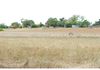 676 Cadia Road, Orange