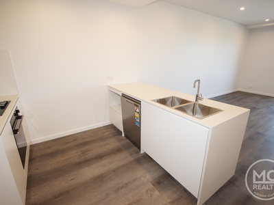 310 / 11 Raphael Street, Lidcombe