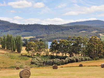 Lot 3 Walters Road, Wattle Grove