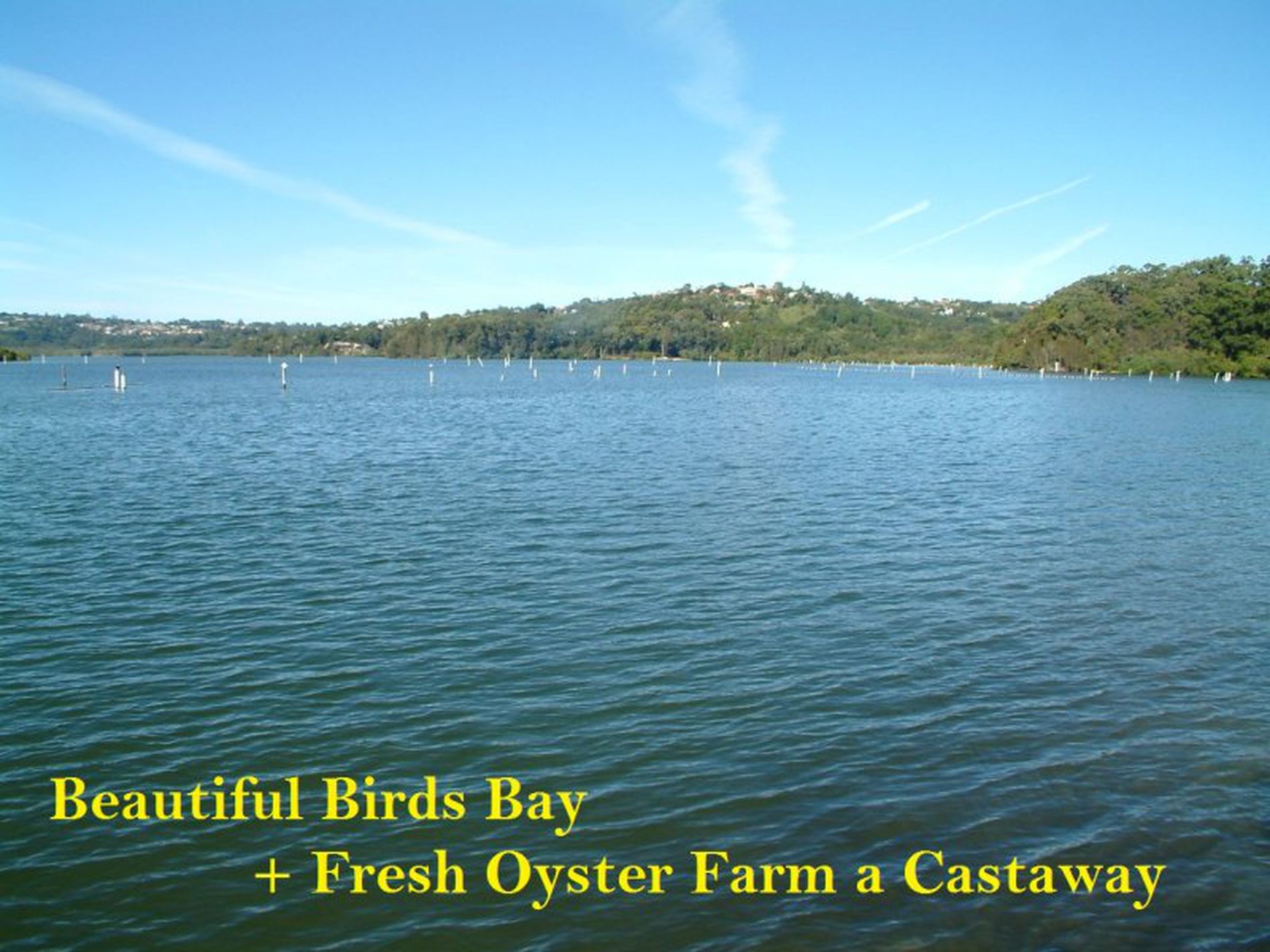 55 Jacaranda Avenue, Tweed Heads West