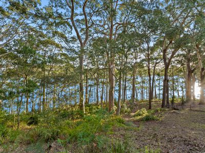 8 William Street, Kings Point