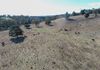 1173 Cargo Road, Lidster