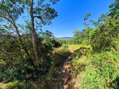 461 Sugarloaf Road, Riordanvale
