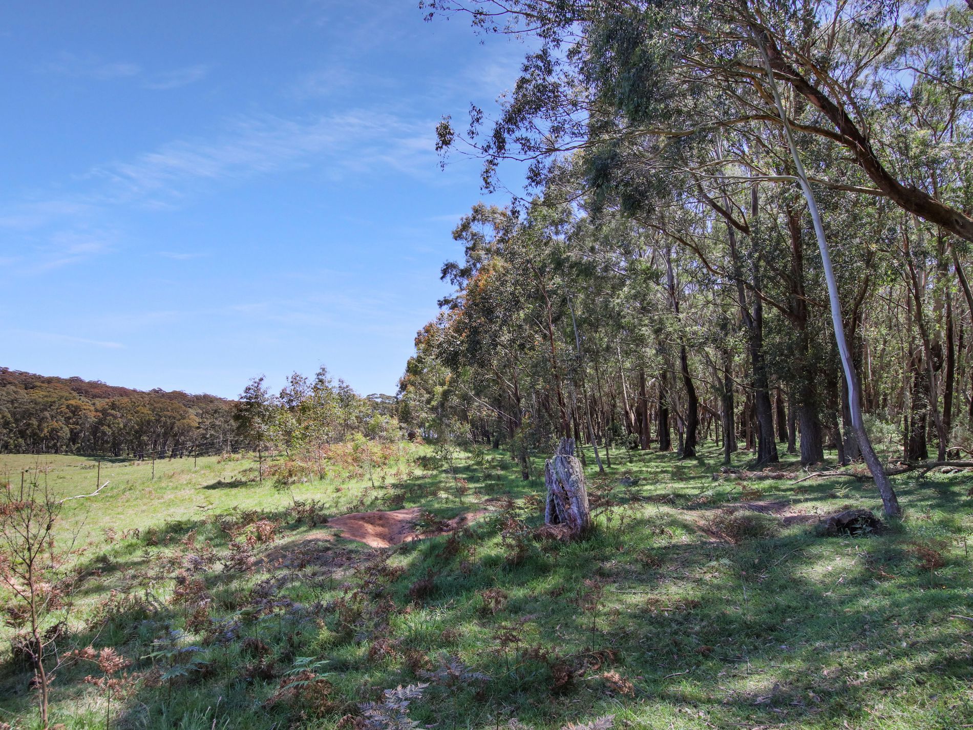 12 Bluebell Road, Braidwood