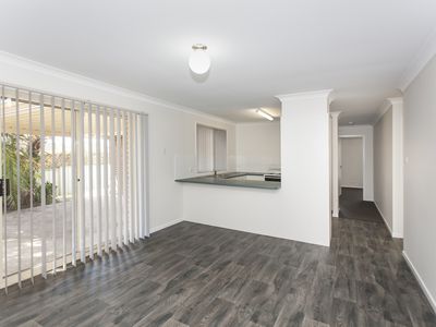 146 Coachwood Drive, Medowie