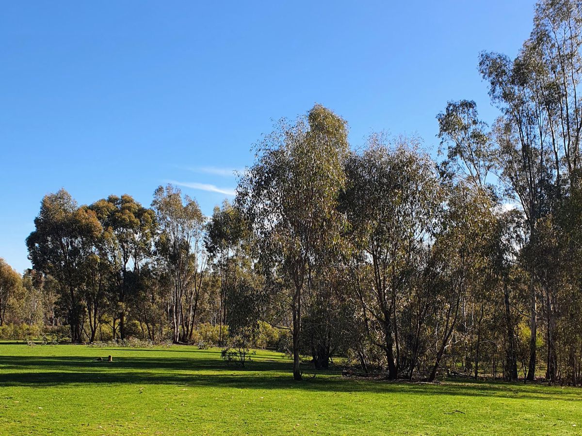 647 Sloans Road, Violet Town