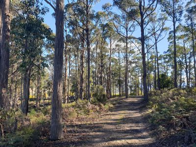 270 Woolleys Road, Lonnavale