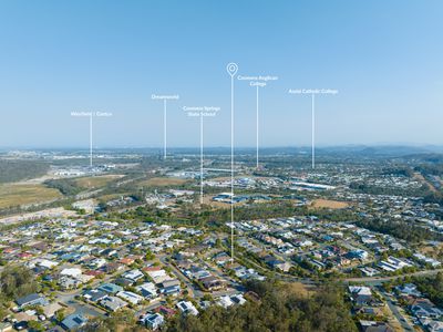 17 Starush Court, Upper Coomera