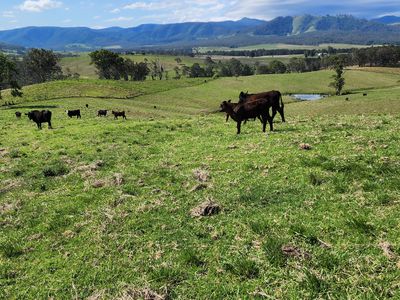 5887 Oxley Highway, Ellenborough