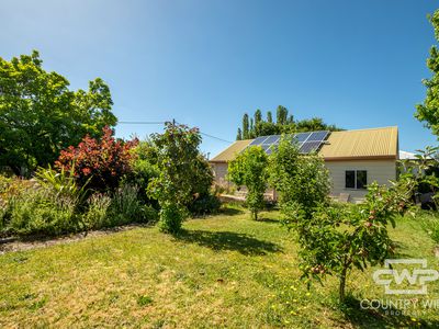 101 Bourke Street, Glen Innes