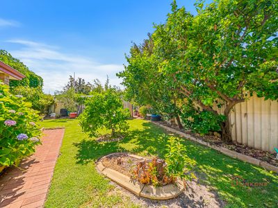 12A Palisade Lane, Willetton