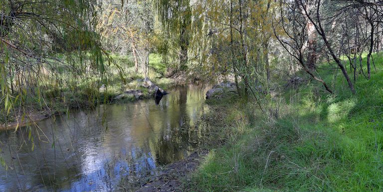 1751 Euroa Mansfield Road, Euroa