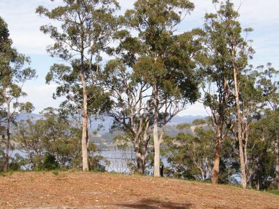 237A Graces Road, Glaziers Bay