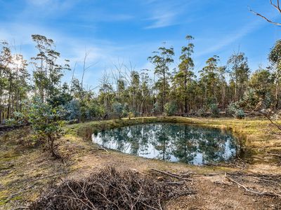 107 Inala Road, Forcett