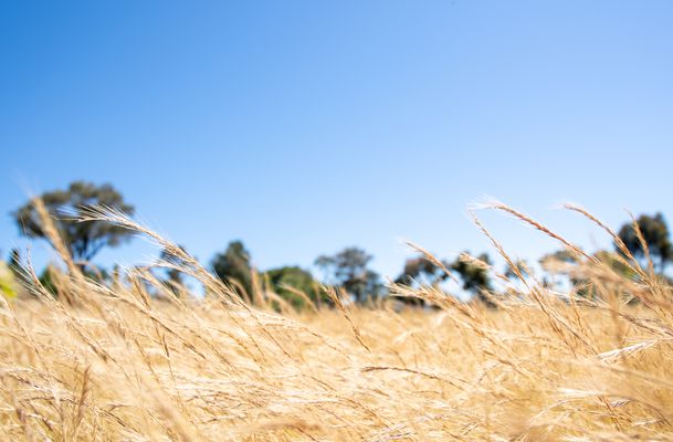 571 Mickleham Road, Greenvale