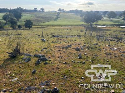 Lot 1, - Emmaville Rd, Emmaville