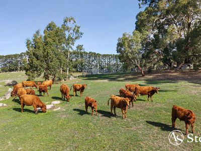 805 Tooborac-Baynton Road, Tooborac
