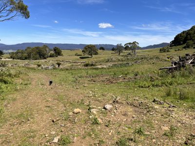 28834 Tasman Highway, Weldborough