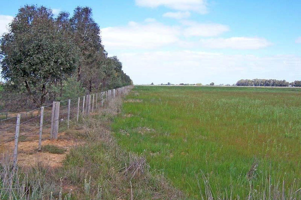 Murray Valley Highway, Wyuna