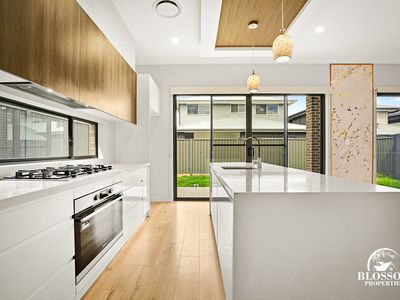 22 Flametree Drive, Marsden Park