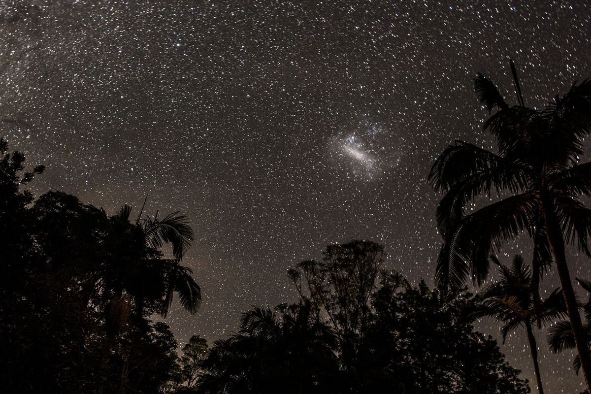 Currumbin Valley