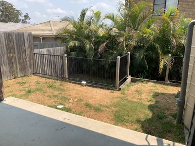 3 / 4 Pademelon Circuit, North Lakes