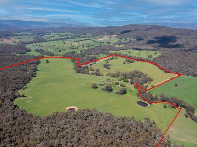 1129 Moyhu-Meadow Creek Road, Meadow Creek