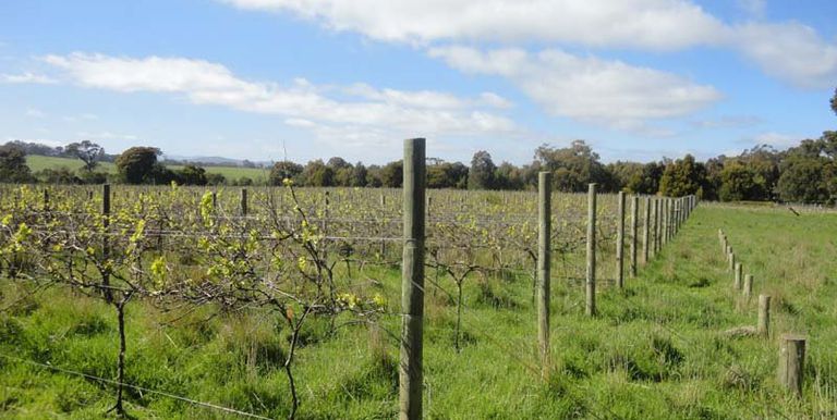 Harrys Creek Road, Strathbogie