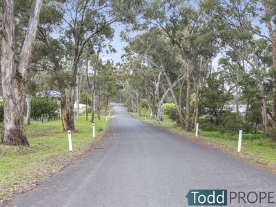 Lot 3, Scullys Lane, Heathcote