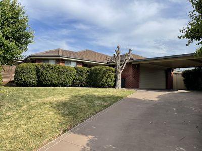 25 Hibiscus Way, Tamworth
