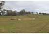 324 Dripstone Road, Neurea