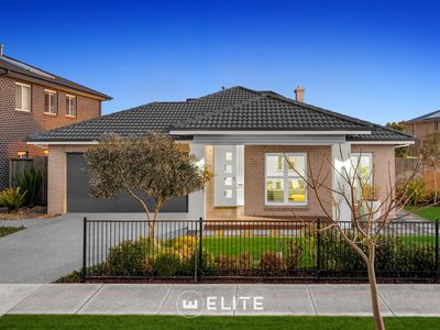 15 Tallrush Street, Clyde North