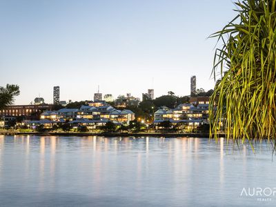 31 Waterline Cres, Bulimba