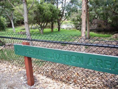 111 Normanby Road, Inglewood