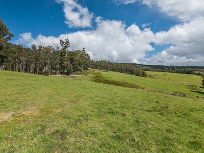294 Judds Creek Road, Judbury