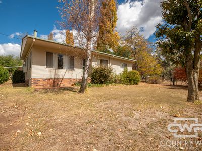 Cottage / 453 Moredun Road, Ben Lomond