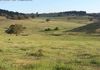 * Williamson Road, Lewis Ponds, Orange