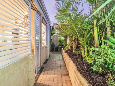 19 Icelandic Meander , Baldivis