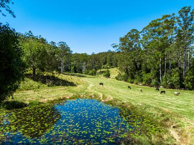 4358 Kyogle Road, Lillian Rock