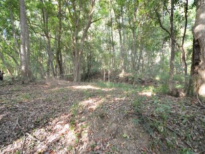 Lot 1, Connors Knob Road, Obi Obi