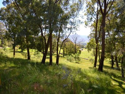 3 Diggings Road, Tawonga