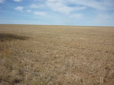 Lot 2 Brikkle Road, Brim