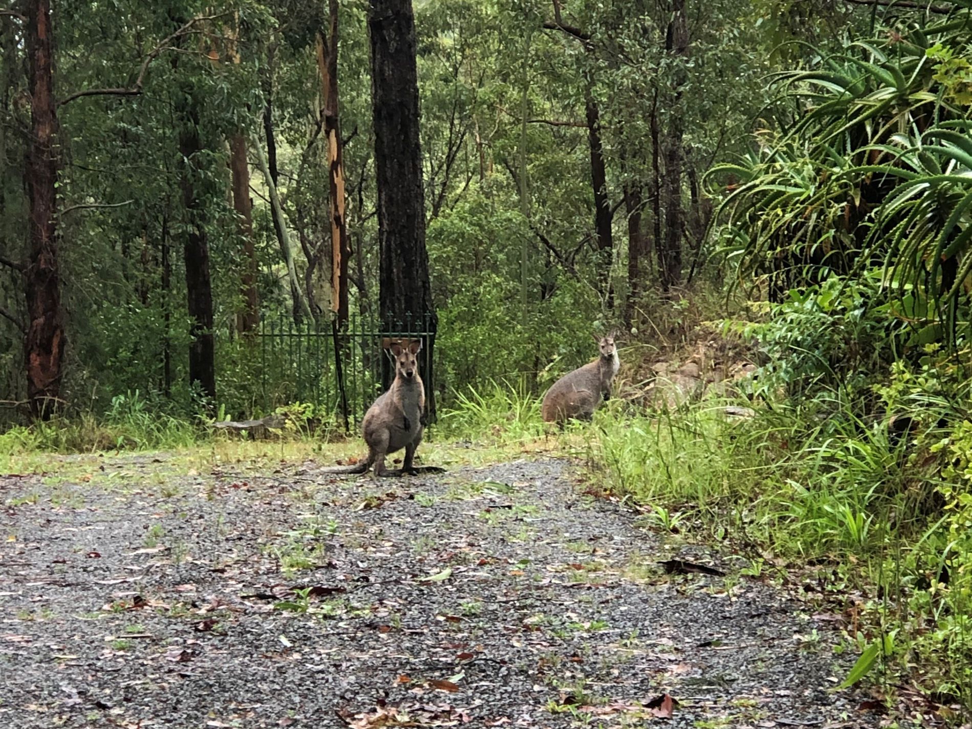 16 Old Schoolhouse Road, Crawford River