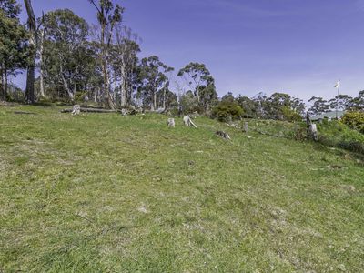 Lot 2, Huon Highway, Geeveston