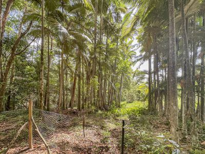 92 Cash Road, Eumundi