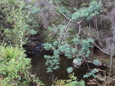 Lot 1 & 2, Harwoods Road, Castle Forbes Bay