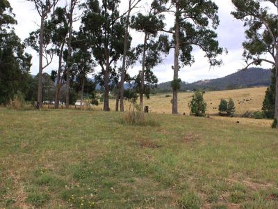 1907 Cygnet Coast Road, Cradoc