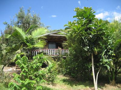 660A Bangalow Road, Talofa